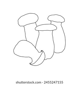 Vector illustration of king oyster line art for coloring kids and adults. Pleurotus eryngii, king trumpet mushroom, French horn mushroom, eryngi, king oyster mushroom, sketch vintage illustration