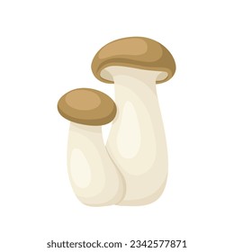 Vector illustration, king oyster mushroom or Pleurotus eryngii, isolated on white background.