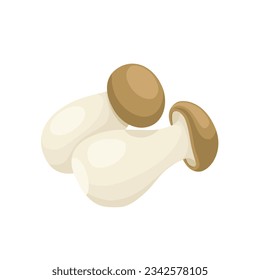 Vector illustration, king oyster mushroom or Pleurotus eryngii, isolated on white background.