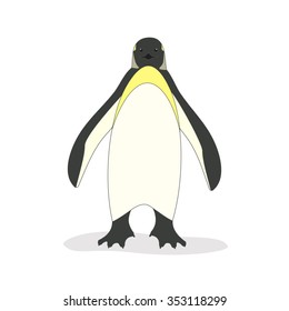 Vector illustration of a king penguin. Isolated on a white background.