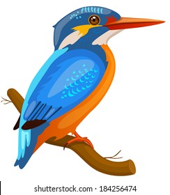 Vector Illustration of a kingfisher