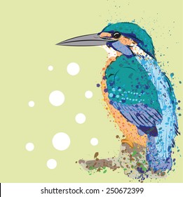 vector illustration kingfisher on a light green background