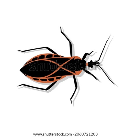 Vector illustration of a kissing bug or Triatomine animal. American trypanosomiasis or Chagas is a disease that is spread through the bite of this insect.