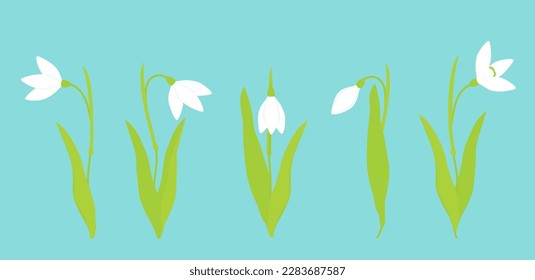 Vector illustration. Kit. Snowdrop flowers on a blue background. Buds, stems and leaves.