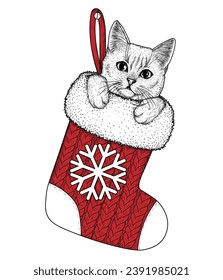 Vector illustration of a kitten in a Christmas gift sock in engraving style