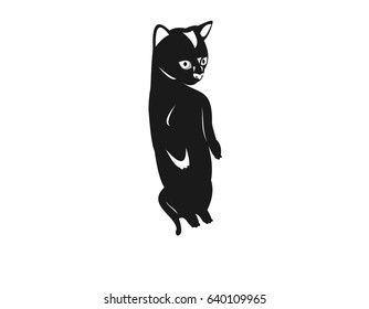  Vector Illustration kitty