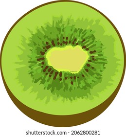 Vector illustration of kiwi close-up. Half of green fruit with seeds in minimal realistic style