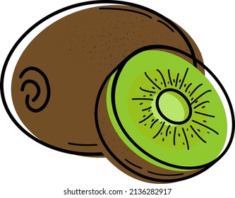 Vector illustration of kiwi. Design elements for menus, advertisements and covers, children's books, food and food illustrations. Vector of fruits, leaves of garden plants. Dietary nutrition