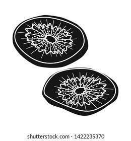 Vector illustration of kiwi  and dry logo. Collection of kiwi  and cut  vector icon for stock.