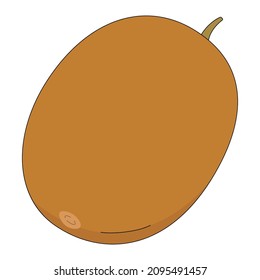 Vector illustration of kiwi. Fruit in cartoon style isolated on white background. Source of vitamin C