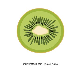 Vektorgrafik von Kiwi-Früchten, exotischen tropischen Früchten und frischem Obst