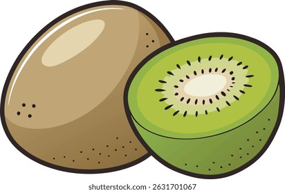 vector illustration of a kiwi fruit on a white background