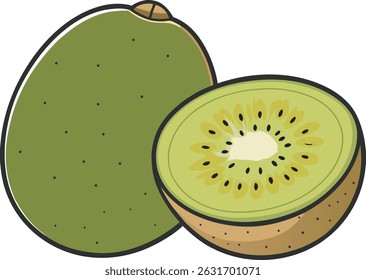 vector illustration of a kiwi fruit on a white background