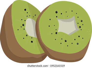 vector illustration kiwi fruit for print