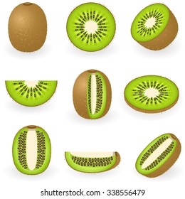 Vector illustration of kiwi fruit with slices isolated on white background