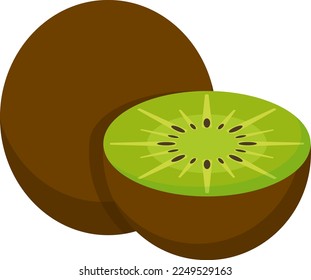 Vector illustration of a kiwi. Vector half kiwi showing the pulp. Half and whole. Refreshing tropical fruit. Kiwi slice.