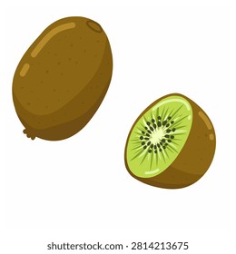 vector illustration of kiwi and half of kiwi for your illustration for your design for sticker