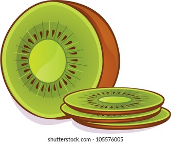 Vector illustration of kiwi isolated on white background