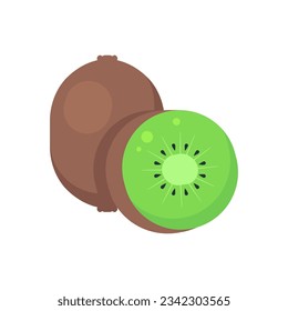 Vector illustration of kiwi. Juicy kiwi illustration in section