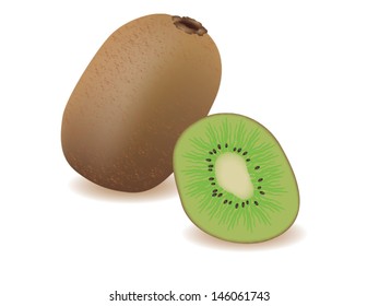 vector illustration . kiwi on white background