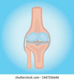 Vector Illustration of the knee joint in a very professional and unique design.