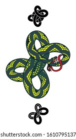 A vector illustration of a knotted Ouroboros snake eating it’s own tail with  a pair of stylized ornaments.