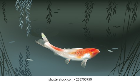 Vector illustration of koi carp in evening pond