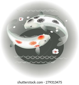 Vector illustration of koi carps couple in water