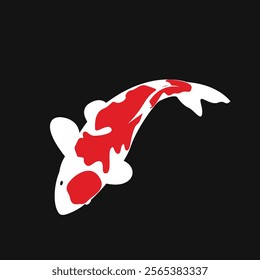 Vector illustration of a koi fish with beautiful colors in a minimalist and flat style isolated on black.