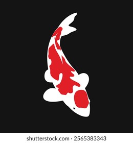 Vector illustration of a koi fish with beautiful colors in a minimalist and flat style isolated on black.