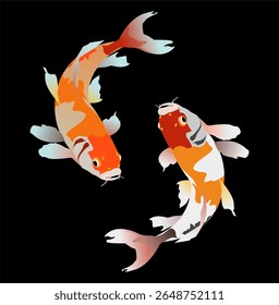 Vector illustration of koi fish, goldfish, ornamental fish, Yin Yang
