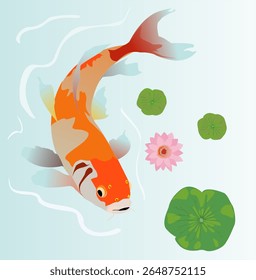 Vector illustration of koi fish, goldfish, ornamental fish, Yin Yang