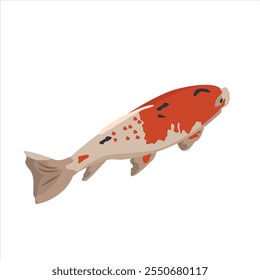 Ilustración vectorial de peces Koi. Carpa japonesa aislada sobre fondo blanco. Logotipo coloreado con peces de colores.