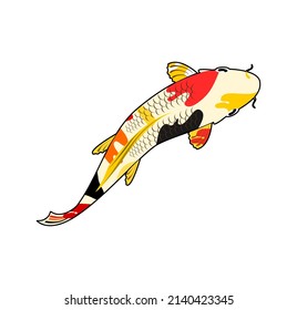 vector illustration of koi fish on a white background