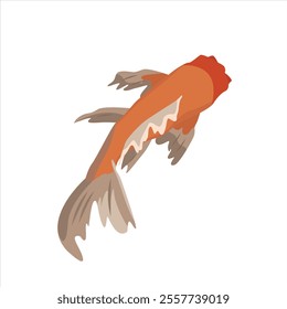 Vector illustration of Koi fish from top view. Japanese carp isolated on white background. Colored logo with goldfish.