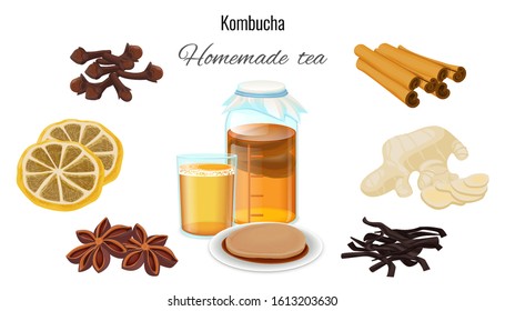 Vector illustration of a Kombucha drink in a glass jar, a glass with a drink, a plate with Kombucha and various spices. Vector