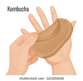 Vector illustration. Kombucha held in the hands