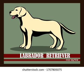 Imagen vectorial del perro Labrador Recuperador. Está de pie.