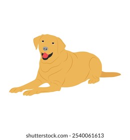 Ilustração vetorial de labrador retriever dog em estilo cartoon flat. Comportamento do cão, linguagem corporal e expressões faciais. Um bonito labrador amarelo.
Animais de companhia