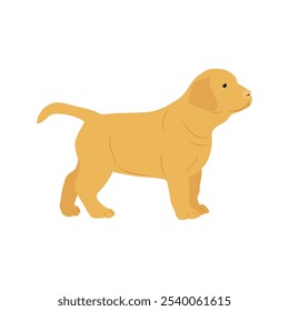 Ilustração vetorial de labrador retriever dog em estilo cartoon flat. Comportamento do cão, linguagem corporal e expressões faciais. Um bonito labrador amarelo.
Animais de companhia