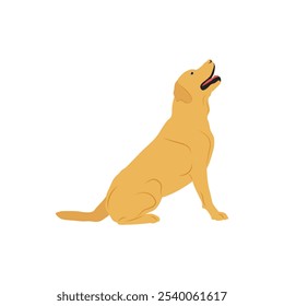 Ilustração vetorial de labrador retriever dog em estilo cartoon flat. Comportamento do cão, linguagem corporal e expressões faciais. Um bonito labrador amarelo.
Animais de companhia