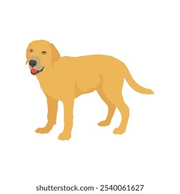 Ilustração vetorial de labrador retriever dog em estilo cartoon flat. Comportamento do cão, linguagem corporal e expressões faciais. Um bonito labrador amarelo.
Animais de companhia