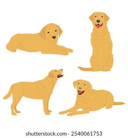 Ilustração vetorial de labrador retriever dog em estilo cartoon flat. Comportamento do cão, linguagem corporal e expressões faciais. Um bonito labrador amarelo.
Animais de companhia