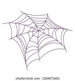 vector illustration of lacy spider web