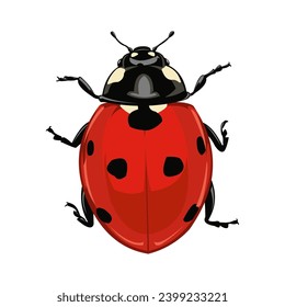 Vector illustration of a lady bug