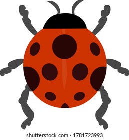 Vector illustration of a ladybug