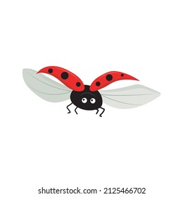 Vector illustration of a ladybug