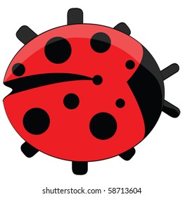 Vector illustration of a ladybug