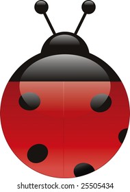 Vector illustration of a ladybug in aqua style