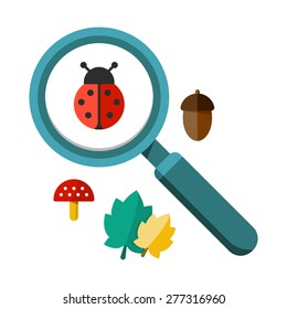 Vector illustration of a ladybug by a magnifying glass. Insect under magnifier zoom lens. Flat design vector. For web and applications